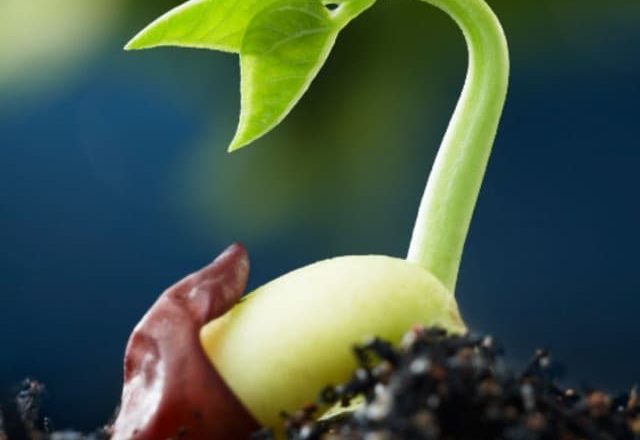БиоЛогика